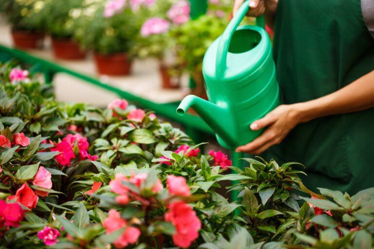 The Mindful Gardener: How Growing Plants Can Transform Your Mental Well-being